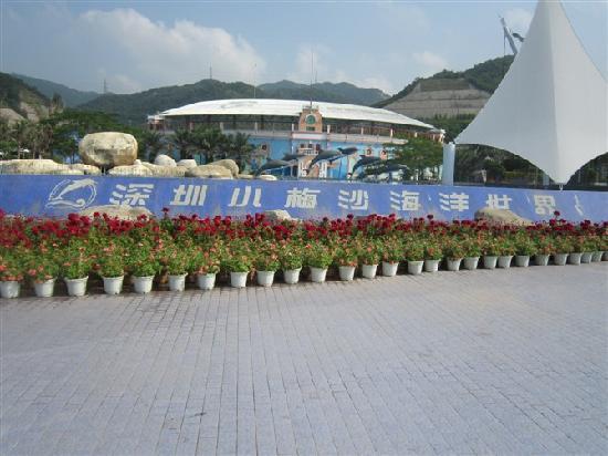 Shenzhen Ocean World